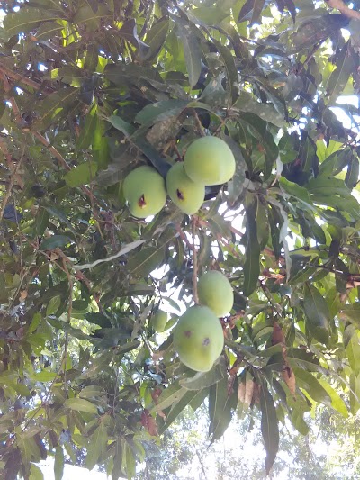 Photos of Batajore Bepari Bari