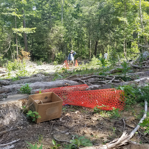 Mohegan State Forest