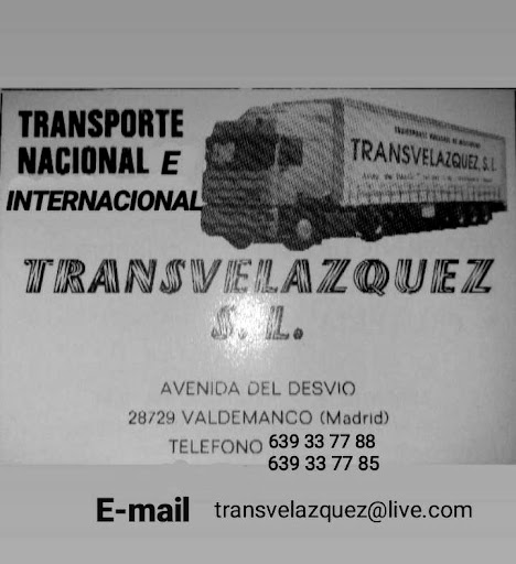 TRANSVELAZQUEZ - Visual