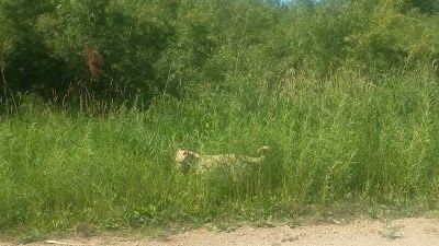 Saint Benedict Wildlife Area