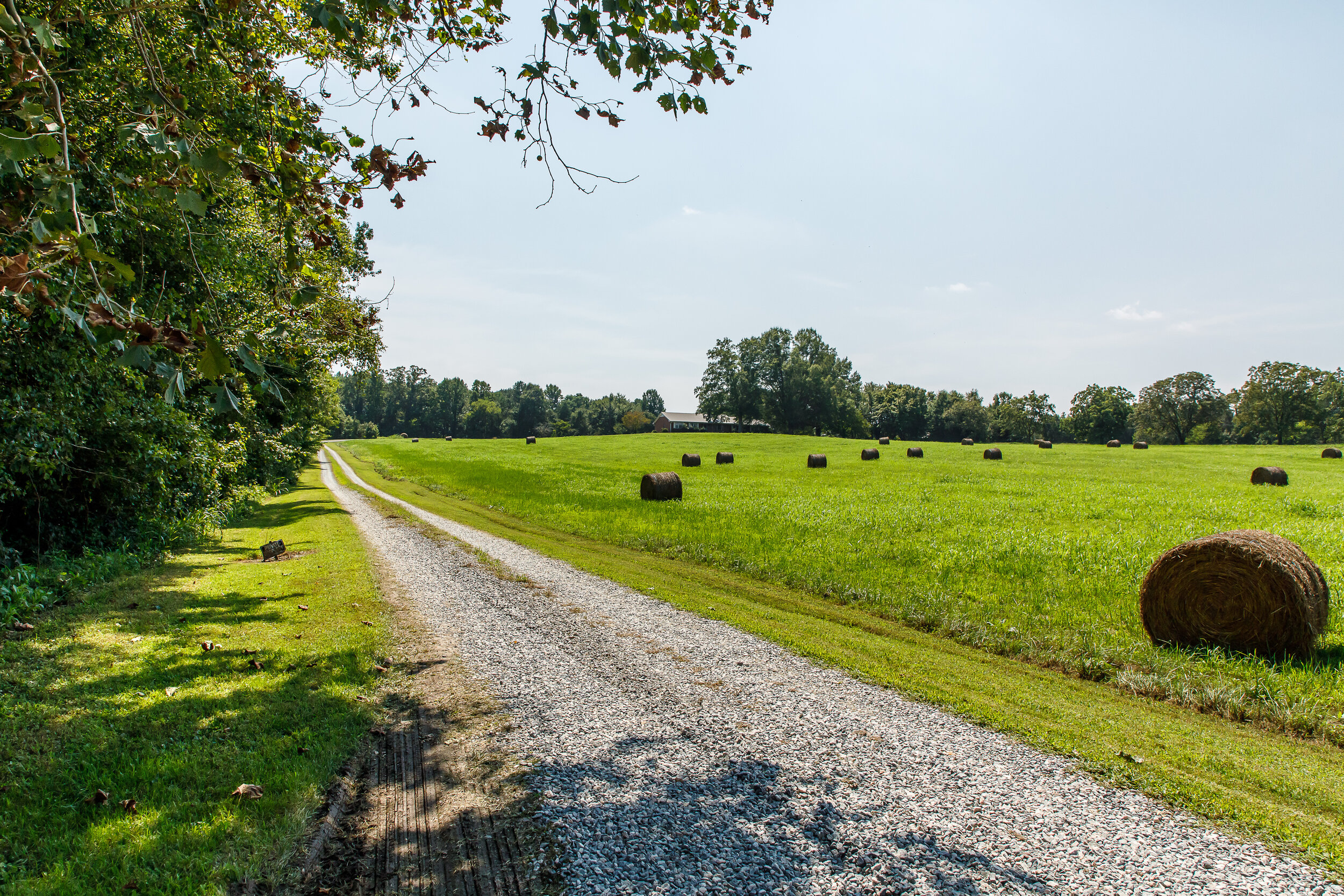 Red Hound Farms