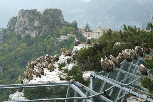 Photo n°11 de Louer dans le verdon à Rougon (Logement meublé)