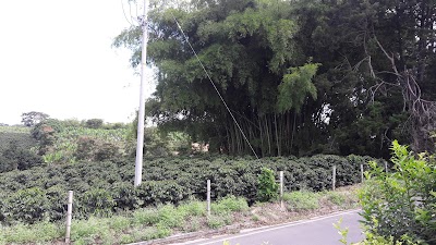 Photos of Finca Hotel La Chagra