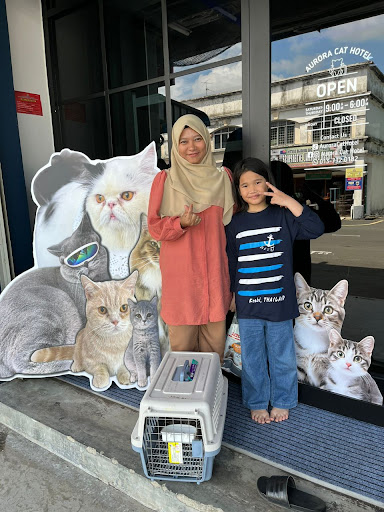 Aurora Cat Hotel