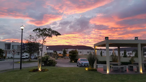 Arrayanes Park - Visual