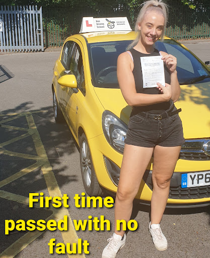 Bee Driving School (Automatic) - Visual
