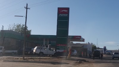 Photos of Puma Keetmanshoop