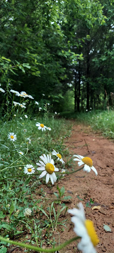 Backcountry camping sites - Thumbnail