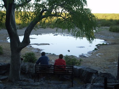 Photos of Moringa Waterhole Viewpoint