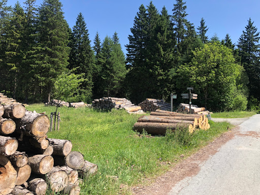 Schutzhütte Minenplatz - Thumbnail