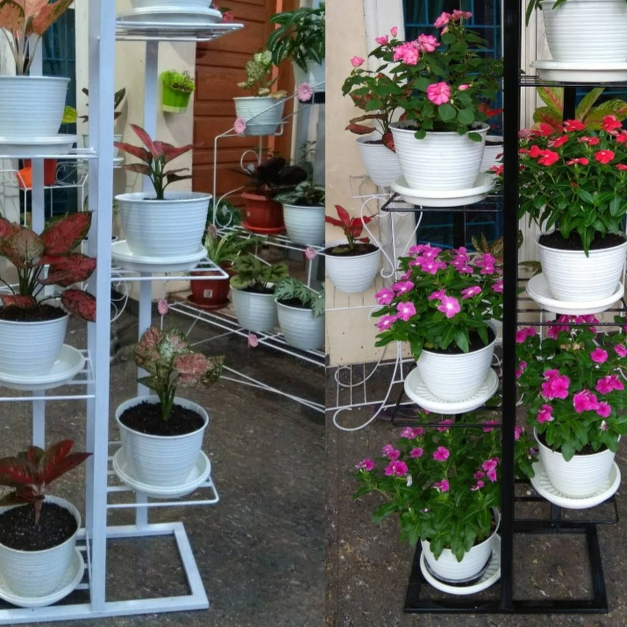 Warung Tika Hidroponik Toko Bunga