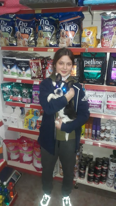 ZELİŞ PET SHOP