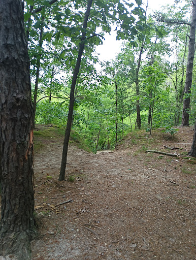 Anthony Campanella Park - Thumbnail