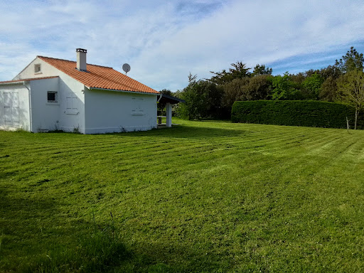 Photo de NDLE Nettoyage Elagage - Taille Abattage d'Arbres Haies - 17 Charente Maritime