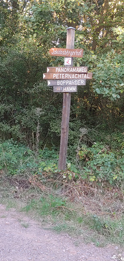 Aussichspunkt oberhalb vom Peternacher Tal - Thumbnail