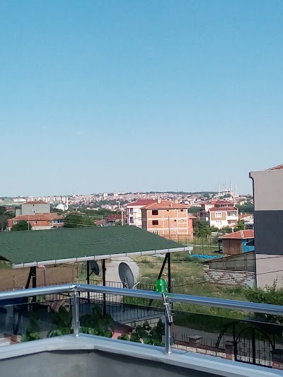 park