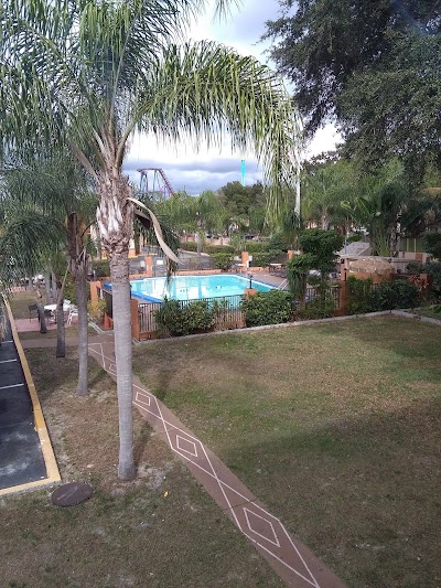 Photos of Travelodge Tampa/ West of Busch Gardens