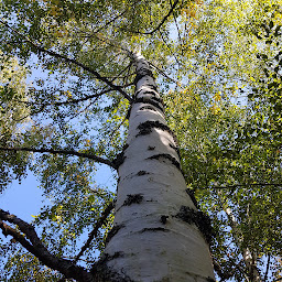 Photo n°18 de Des racines et des rêves à Cosswiller (Programme de bien-être)