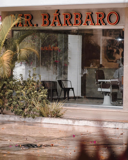 Mr. Bárbaro Col. México
