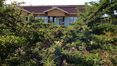 lodging