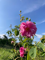 La ferme de Louise à Jarjayes