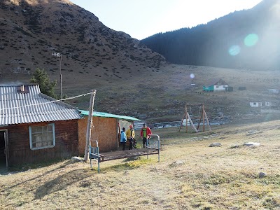 Photos of VIP Travel