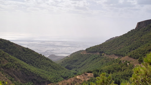 Mirador Tay - Thumbnail