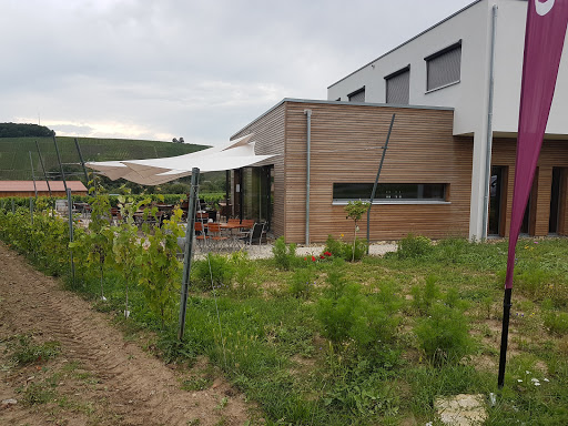 Weingut Glaser - Visual