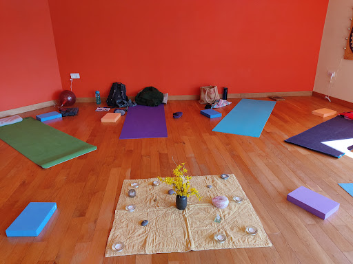 Yoga Frankie - Thumbnail