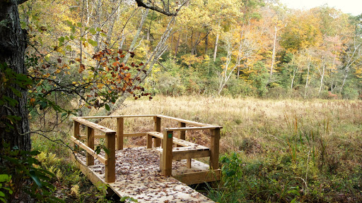 Baylor Park Nature Trail - Thumbnail