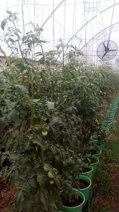 Photos of Nungua livestock Breeding Station