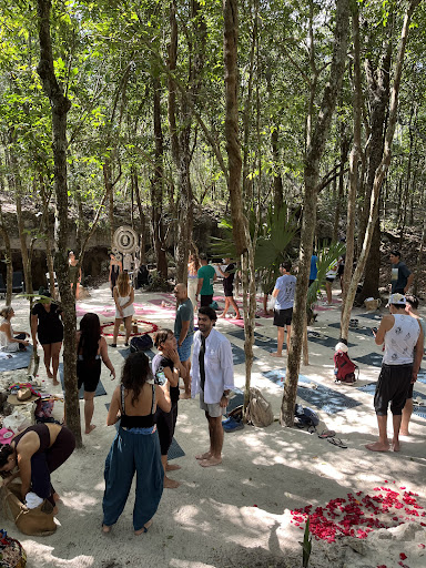 Tulum Experiences /Tourist services,Tours Tulum, Private Transportation, and Chef Services.