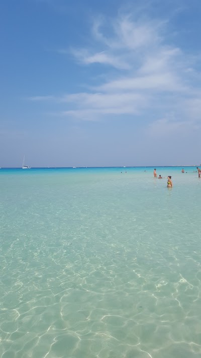 Photos of Hotels in Paradise