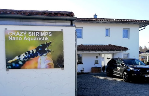 Crazy Shrimps