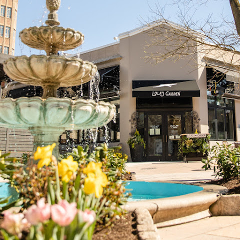 Lola's Garden by null