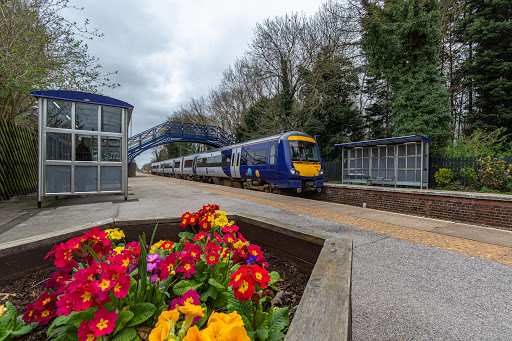 Cottingham - Visual