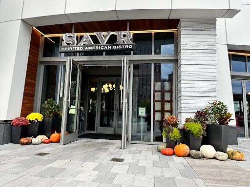SAVR - Visual