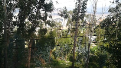 Photos of BOSQUE SAN ISIDRO