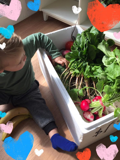 Farmbox Co. - Thumbnail