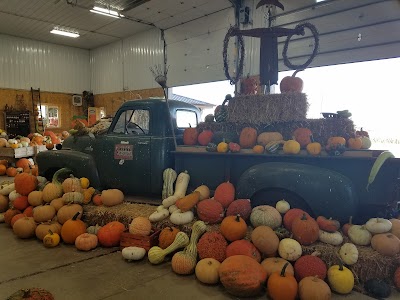 Pumpkins On Garfield Corn Maze