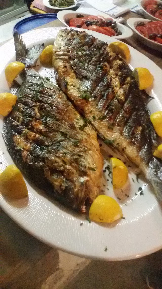 Papalagi seafood