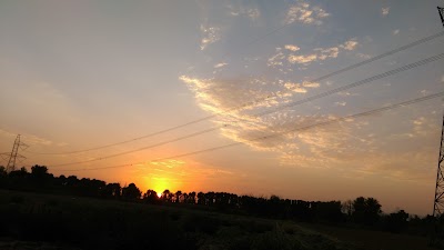 Photos of Golestaane Garden