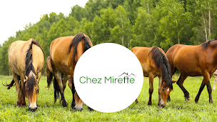 Photo n°4 de CHEZ MIRETTE à Vy-lès-Rupt (Éleveur)