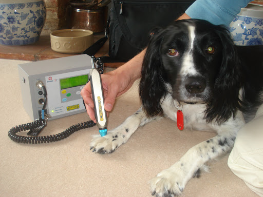 Vet Physio: K9 rehabilitation Sarah Long - Thumbnail