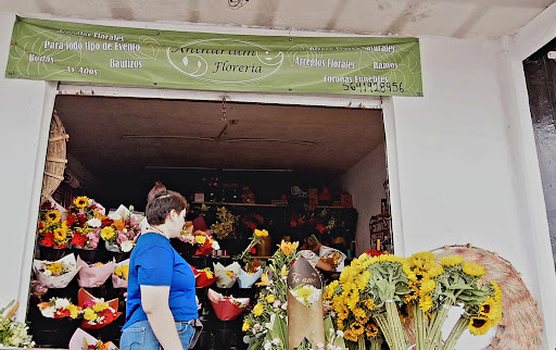 Anthurium Florería