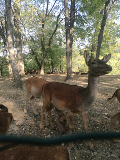 Parrocchia Di Montebello - Rupoli - Thumbnail