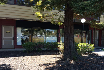 Needle In A Haystack