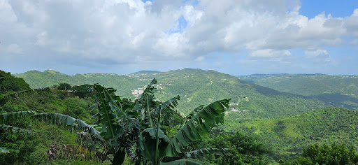 Barrita La Colina - Thumbnail