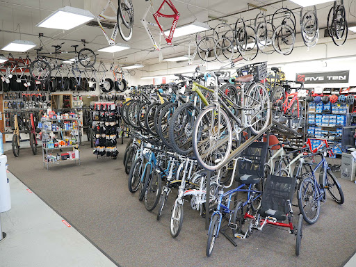 Fat Tire Cycles - Montaño - Thumbnail
