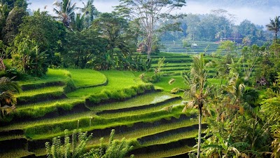 Photos of Bali Turismo Transport, Trip and Tour Service